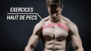 Lire la suite à propos de l’article 7 exercices pour muscler le haut des pectoraux